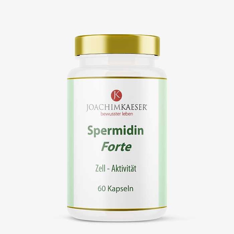 Fit & Vital Joachim Kaeser | Amino 8 & Spermidin Forte