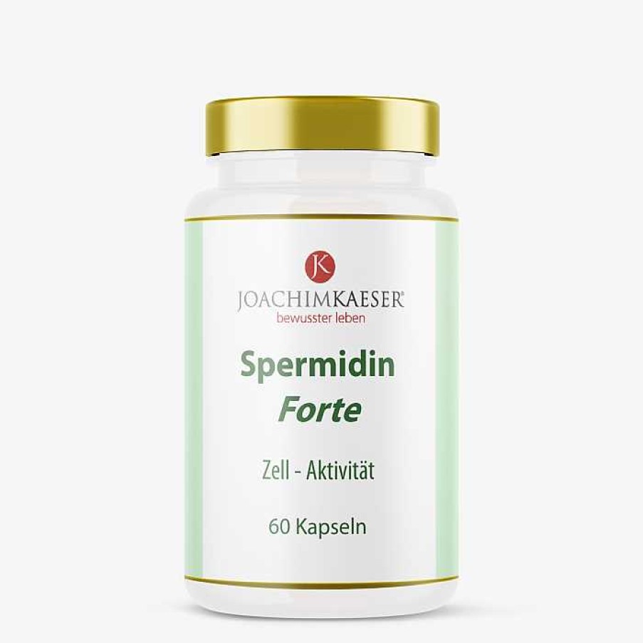 Fit & Vital Joachim Kaeser Allgemeines Wohlbefinden | Spermidin Forte 60 Kapseln