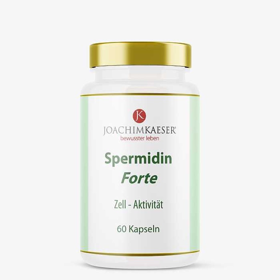 Fit & Vital Joachim Kaeser | Amino 8 & Spermidin Forte